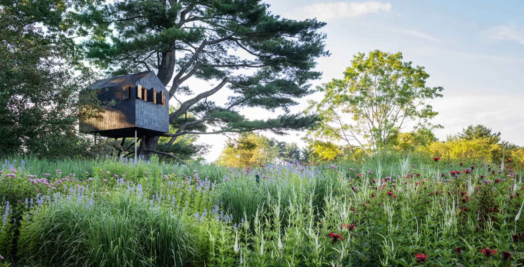 1440X880 Goodyear L3